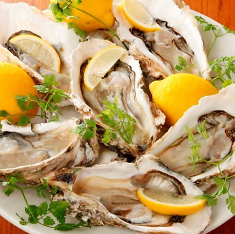 TOKYO KAKI STAND h[VeBX