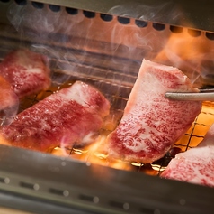 肉屋の台所 飯田橋店の特集写真