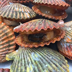 ひおうぎ貝焼き(1コ)