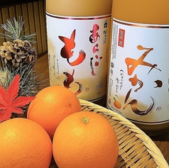 梅乃宿 あらごしみかん酒