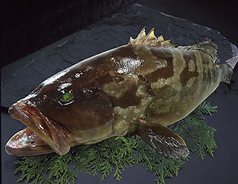 ひめいちえ 松山のコース写真