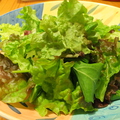 料理メニュー写真&nbsp;【定番】葉ものを中心とした生野菜☆本日のフレッシュサラダ～自家製ドレッシングをかけて…～