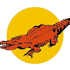 ワニーオーストラリア産