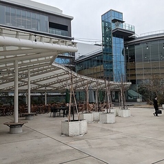 テーブル席は、仲間との楽しい会話を楽しみながら、リラックスしたひとときを過ごせます！ご家族やご友人と美味しい料理を囲んで特別なひとときを演出し、思い出に残る瞬間をお楽しみください♪