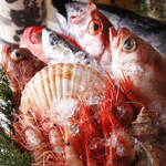 ●水産卸し・朝〆 直送旬魚　：根室・歯舞・花咲・紋別漁港・・オール北海道食材をお届け。