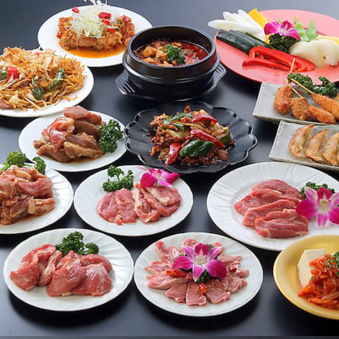 y،~H׈ݕzLq 唎؊X X