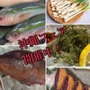 さらり 今店の写真
