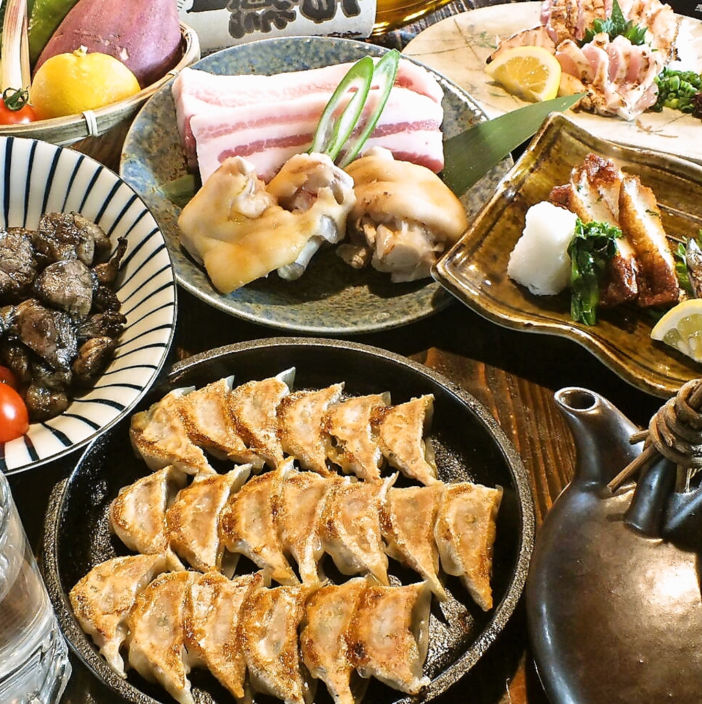 黒豚一口餃子&きびなご・地鶏・黒豚など鹿児島の郷土料理の数々…2H[飲放]付4000円