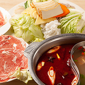 西安料理 刀削麺 園の詳細