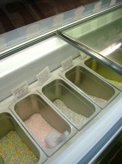 ディッピンドッツアイスクリーム デックス東京ビーチ店の雰囲気3