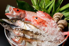 割烹もりもとのコース写真