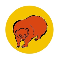 穴熊ー九州産など