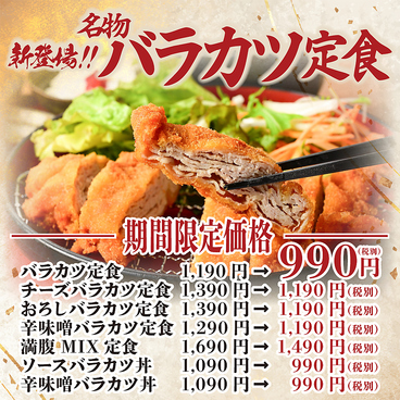 大地のぶた 野々市店のおすすめ料理1