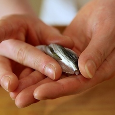 鮨 おかだのコース写真