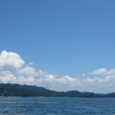 鳴門うどん 鰻birdの雰囲気3