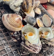 浜焼き（貝3種盛り合わせ）