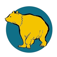 熊ー北海道産・北陸産 ヒグマ/ツキノワグマなど