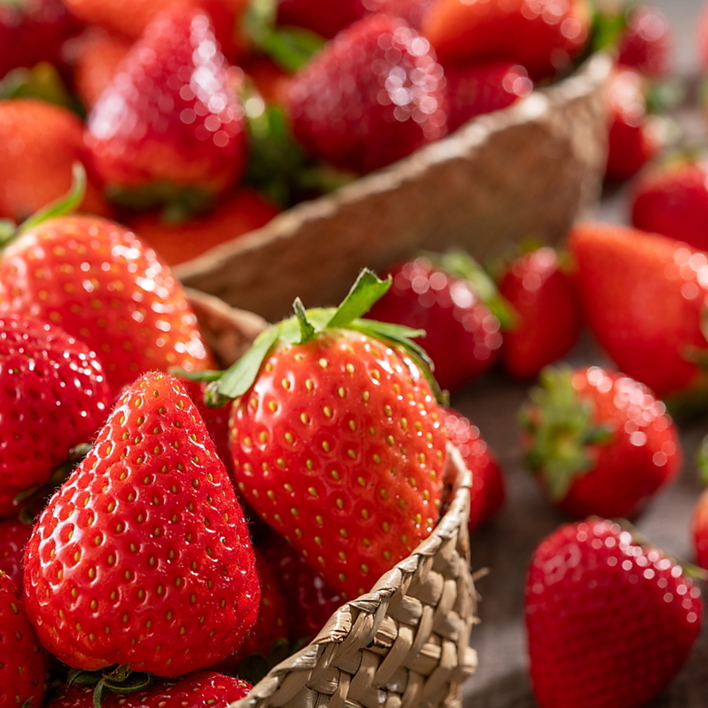 NARITA BOLD KITCHEN 成田 ボールドキッチンの写真ギャラリー