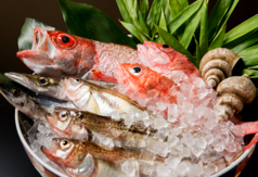 割烹もりもとのコース写真