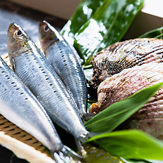 はしり下北沢のコース写真