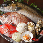 個室居酒屋 今日ワ魚 上野店のおすすめ料理3