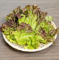 巻き野菜