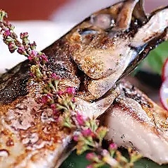 長崎県より(とろさば…等々)