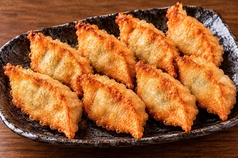 揚げ餃子 5個