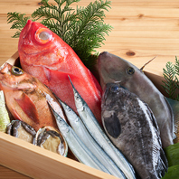 伊勢直送の鮮魚を刺身と炉端焼きで味わう旬の海鮮料理