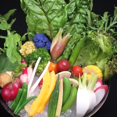 旬菜旬魚と地酒 野良のまたたびのコース写真