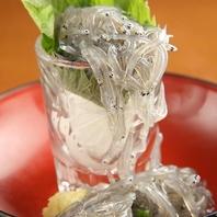 鮮度が自慢！横須賀・佐島港直送の朝獲り生しらす