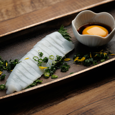 アオリイカ刺し身