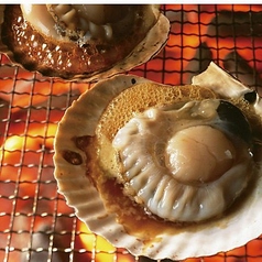 浜焼き海鮮居酒屋 大庄水産 長崎駅前店特集写真1