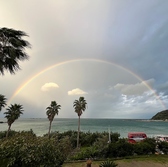 CURRENT カレントの雰囲気2