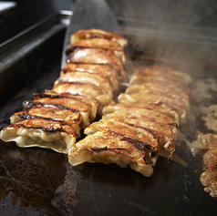 自家製焼き餃子