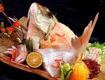 【海鮮/魚/肉/有機野菜/創作料理/美食/接待/デート/個室/和食/大分/掘りごたつ】