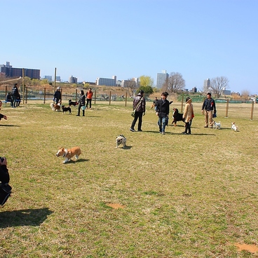 荒川運動公園 バーベキュー広場の雰囲気1