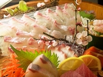 【各種ご宴会受付中！】2時間飲み放題付き　5000円～　6人～36人OK！　各個室・お座敷・テーブルで！