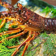 伊勢海老の黄金焼