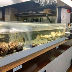 魚魚カルチョの雰囲気3