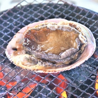 アワビ、踊り焼き！