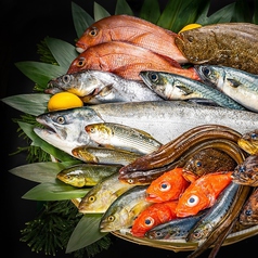 各地の新鮮なお魚を取り寄せております★