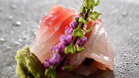 高級感溢れる和空間で“熟成寿司”を提供