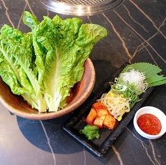 株付きサンチュ