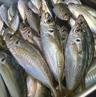 店主自ら目利き！鮮度抜群の「アジ」