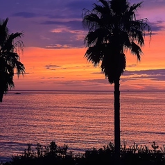 CURRENT カレントの雰囲気3