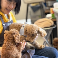 ANDog アンドッグのおすすめポイント1