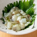 料理メニュー写真&nbsp;たこわさび
