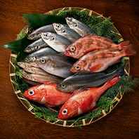 池袋で味わう鮮魚のお刺身！豪華お造り盛り合わせ