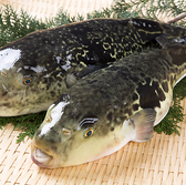 喰多朗 高知 本店のおすすめ料理2